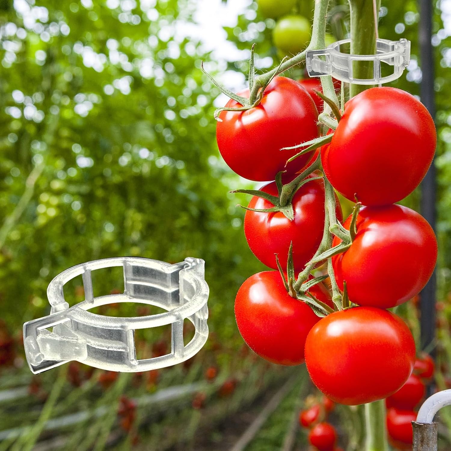 Dalzom® 300Pcs Tomato Clips, Plastic Trellis Clips Plant Support Clips, Plant Clips For Support, Grape Vine, Tomato Vine, Vegetables Plants, Garden Clips To Grow Upright Makes Plants Healthier
