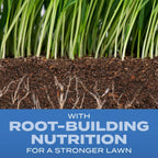 Scotts Turf Builder Grass Seed Sun & Shade Mix, 5.6 Lbs. | Grass Seed Plus Lawn Fertilizer And Soil Improver, Thrives In Many Conditions, Covers Up To 2,240 Sq. Ft.