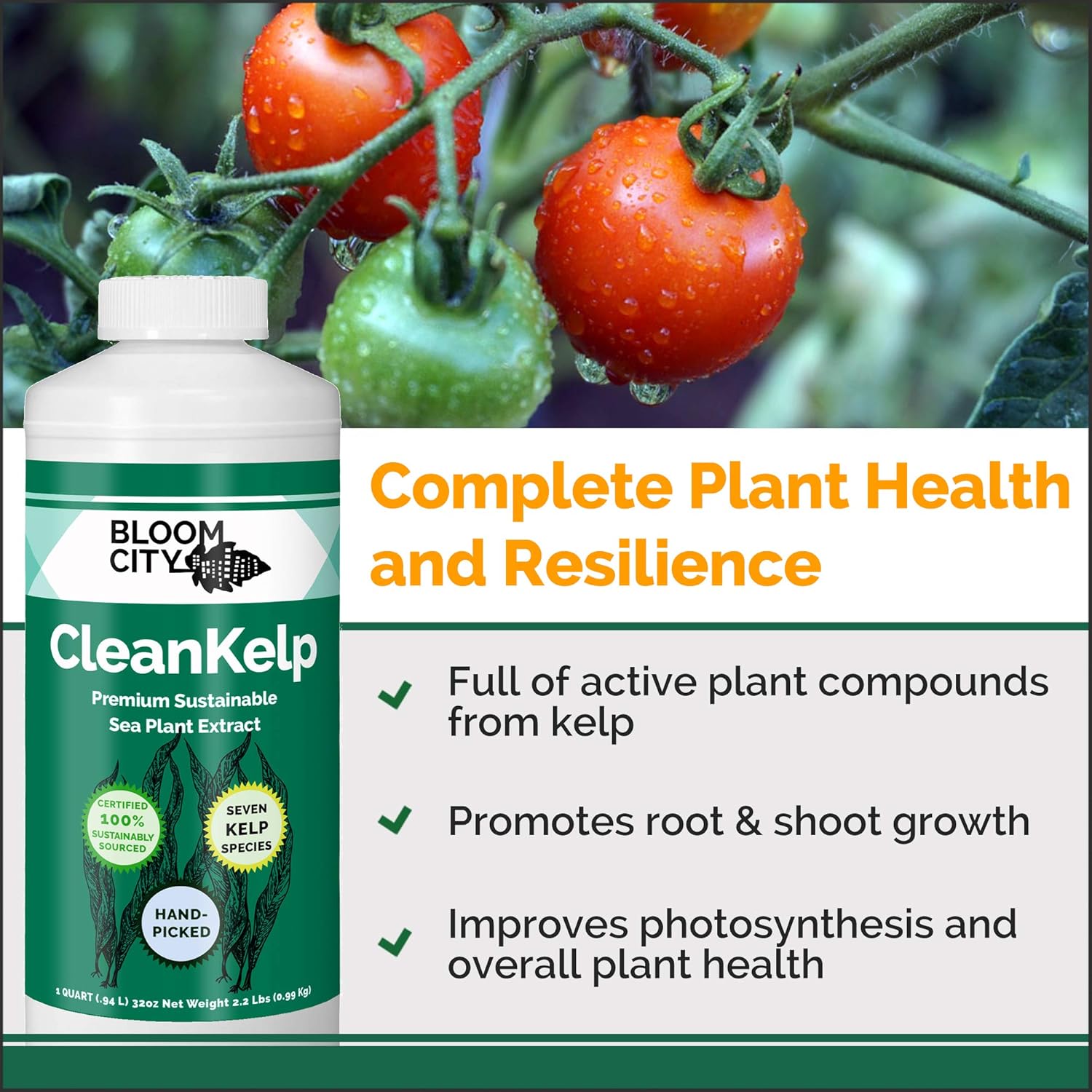 Bloom City Seaweed And Kelp Fertilizer – Liquid Seaweed Supplement For Stronger Roots, Faster Growth & Improved Stress Tolerance, 32 Oz