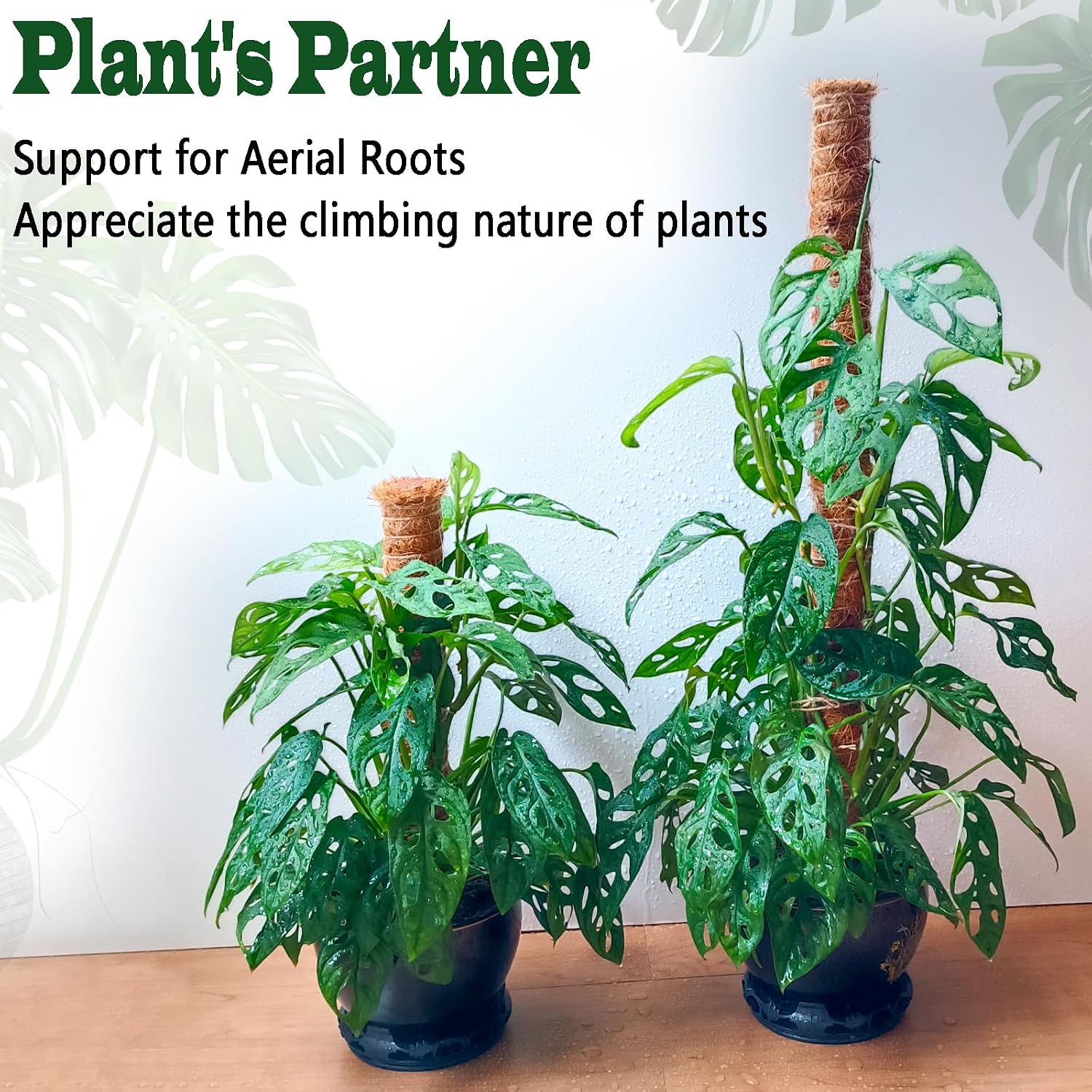 4 Pack 22 Inch Moss Poles, Stackable Moss Pole For Plants Monstera, 70 Inch Tall Moss Poles For Climbing Plants Indoor, Coir Totem Plant Support Stakes Stand For Potted Plants, Pothos