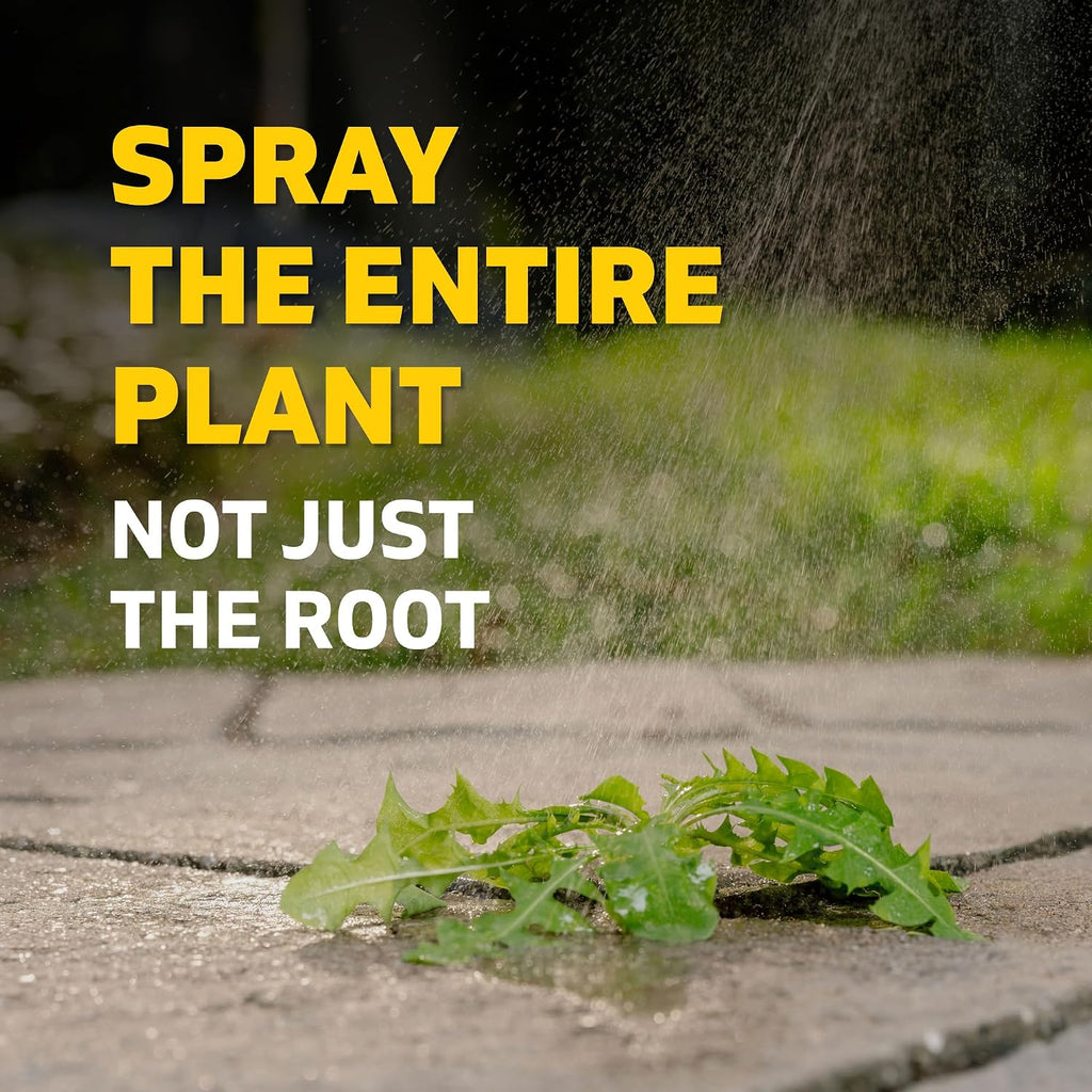 Spruce Weed Killer Refill For Spray Weed & Grass Killer₃ Kit, No Mix, 64 Oz | No Pour, No Mix, No Mess, Pet Safe Weed Spray, Use Around Grass, Driveways & Mulch Beds, Kills Dandelions, Crabgrass & More
