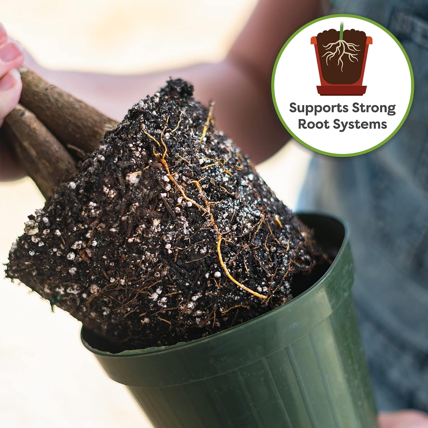 Perfect Plants Money Tree Potting Soil 4Qt | Organic Coco Coir Based Plant Mix For Indoor Trees | Quickly Grow Your Indoor Forest