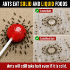 Catchmaster Defiant Premium Liquid Ant Killer, 1-Year Supply, Kills The Queen And Colony, No Mess Precision Bottle, Reusable Ant Traps Indoor & Outdoor, Pest Control Traps, Made In Usa