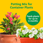 Miracle-Gro Potting Mix, 16 Qt. (2-Pack) | For Container Plants, Flowers, Vegetables, Shrubs, Annuals, Perennials, Potting Soil Mix, Feeds Up To 6 Months