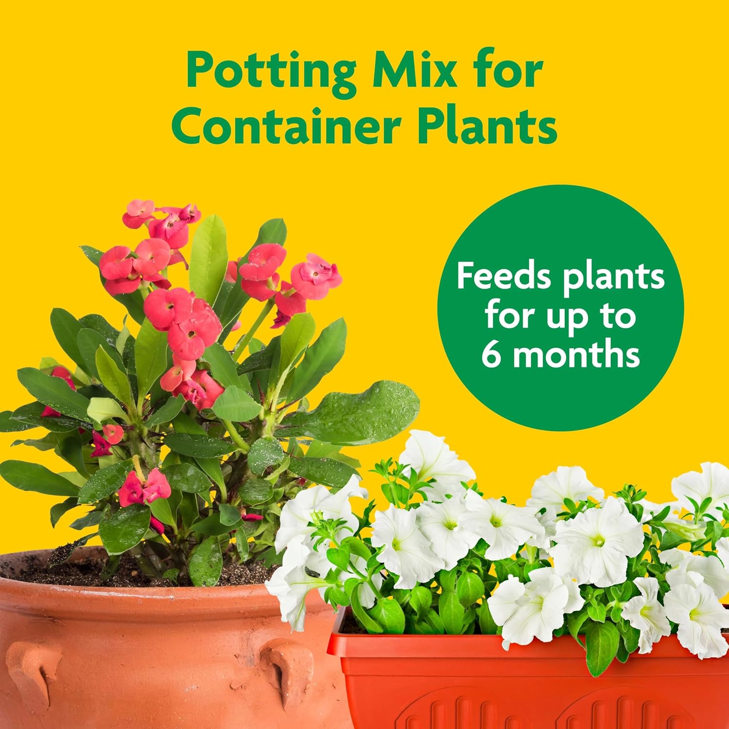 Miracle-Gro Potting Mix, 16 Qt. (2-Pack) | For Container Plants, Flowers, Vegetables, Shrubs, Annuals, Perennials, Potting Soil Mix, Feeds Up To 6 Months