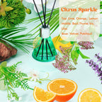 Reed Diffuser Set For Home, Citrus Scented Diffuser With 6 Diffuser Sticks, Home Fragrance Scent Essential Oil Stick Diffuser For Christmas Shelf Decor,3.4 Oz