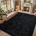 5x7 Black Area Rugs for Living Room, Large Fluffy Shag Bedroom Rugs Non-Slip, Ultra Soft Plush Carpet for Nursery Kids PlayRoom Dorm Office Indoor Modern Carpets