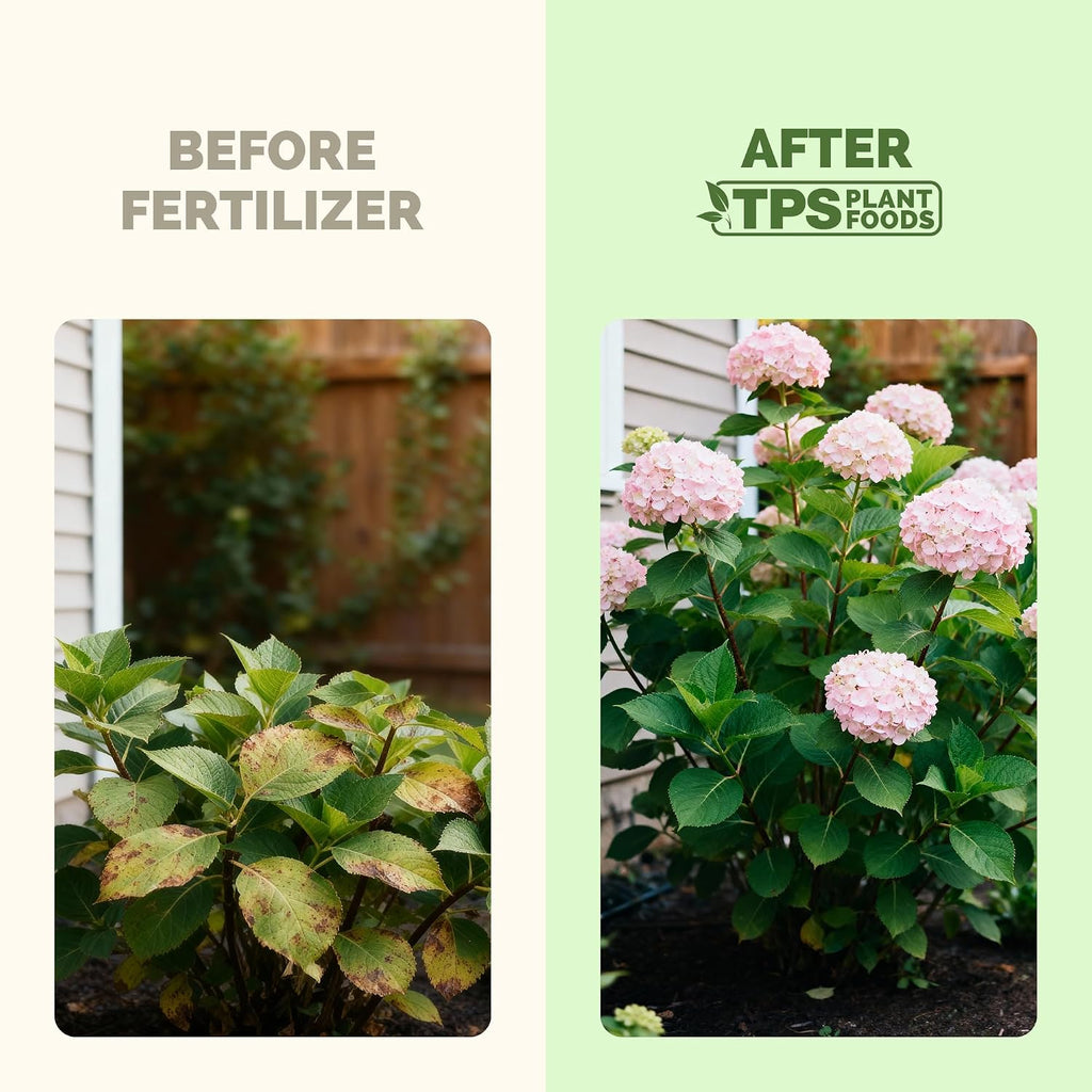 Hydrangea Fertilizer – Liquid Plant Food For Bigger Blooms, Rich Flower Color & Stronger Root Development, 8 Oz