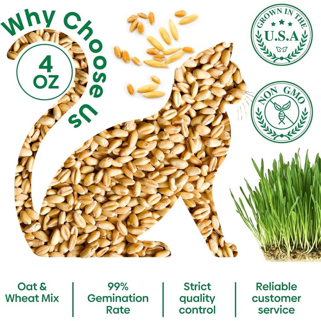 Cat Grass Seeds 4 Oz | Wheat & Oat Seeds Mix