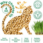 Cat Grass Seeds 4 Oz | Wheat & Oat Seeds Mix