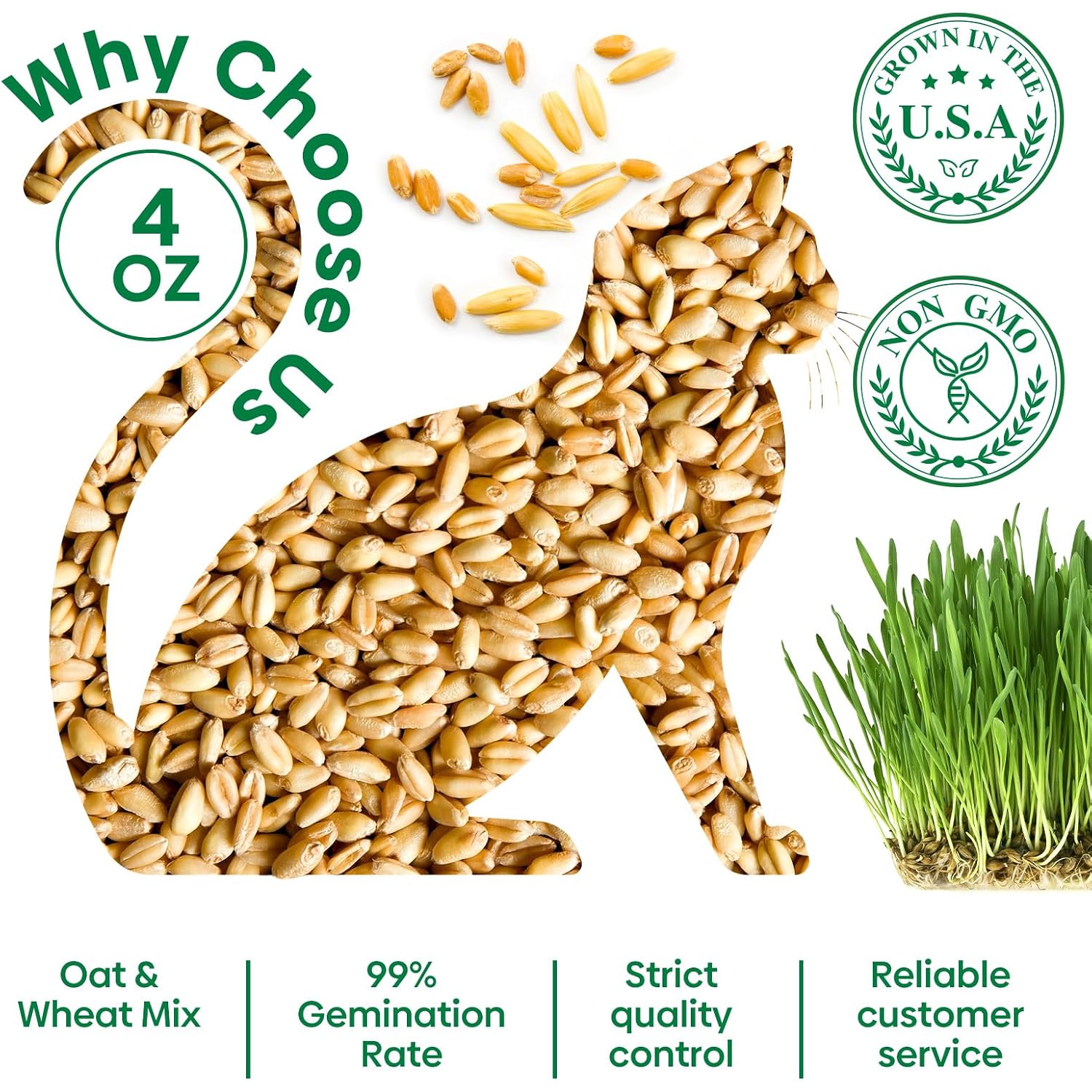 Cat Grass Seeds 4 Oz | Wheat & Oat Seeds Mix