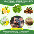 Mouse Rodent Repellent, 32 Pack Peppermint Oil Mice Repellent For Mice, Rats, Squirrels, Spiders And Pests, Indoor/Outdoor Natural Mouse Deterrent, Keeps Rodent Away From Garden & Home (Mint)