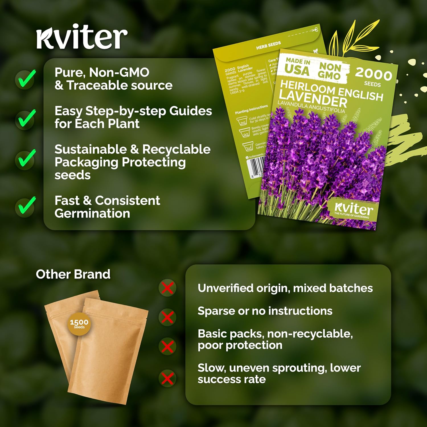 2000 English Lavender Seeds For Planting Outdoor & Indoor (Lavandula Angustifolia) – True Lavender Flowers, Heirloom Perennial, Non-Gmo – Herb Seeds For Outdoor Garden, Flower Beds