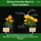 10-10-10 Plant Fertilizer Slow Release - 10 10 10 All Purpose Granular Garden Fertilizer For Vegetables, Tomato, Arborvitae, Shrubs, Rose, Flowers, Fruit, Fig Trees (1/2 Quart)