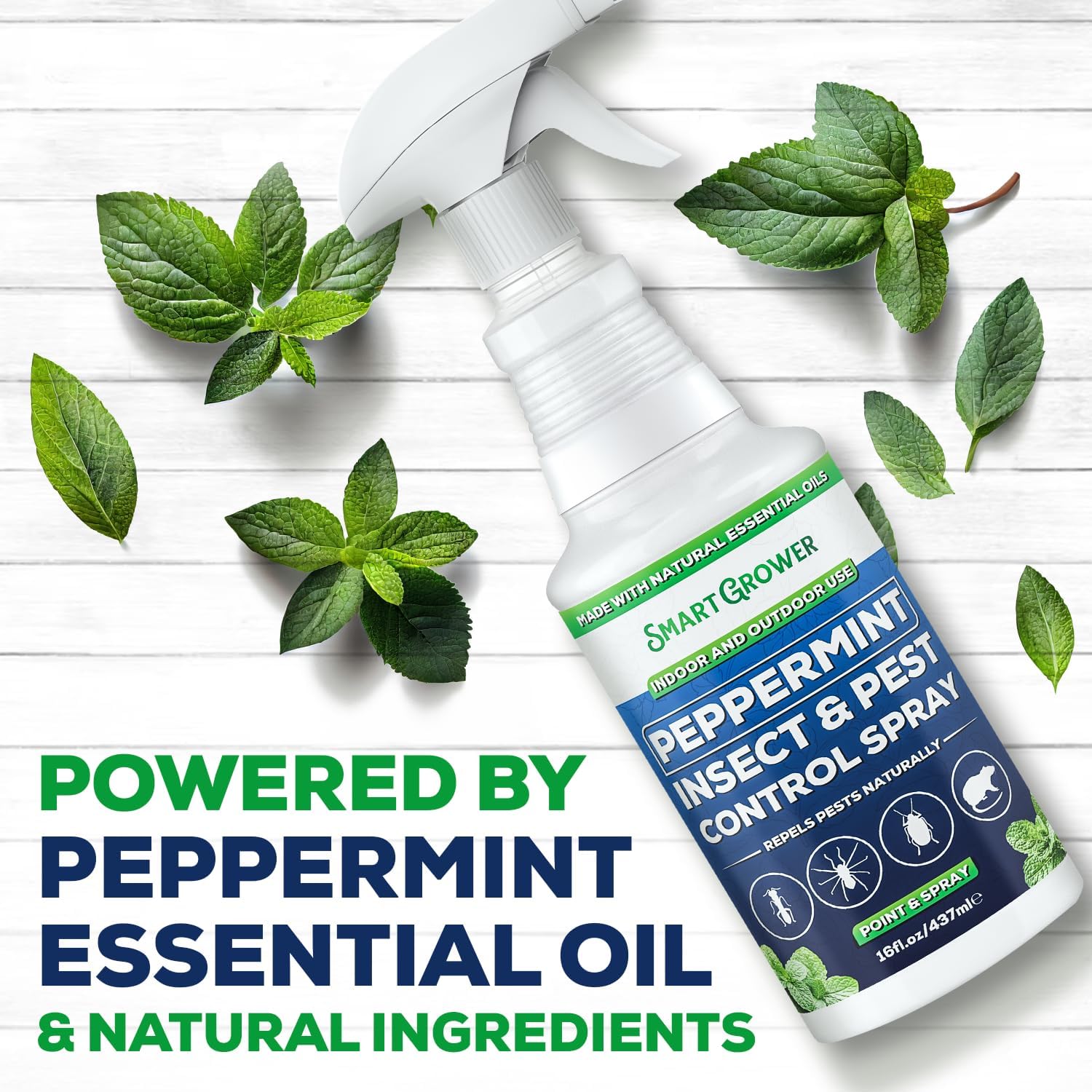 Peppermint Oil Pest Repellent Spray, All Natural, Ready-To-Use, 16 Fl Oz | Peppermint Oil Formula, Repels Mice, Spiders, Ants, Wasps, Bugs, Indoor & Outdoor Use, Smart Grower