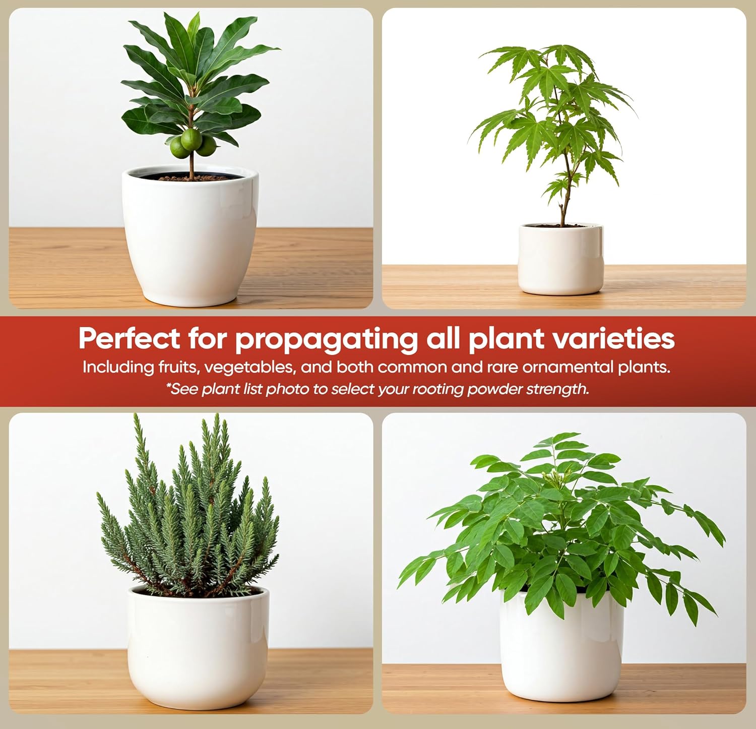 Hormex Rooting Powder #16 (1.60% Iba) For Difficult Hardwood Plants & Trees - Maximum Strength Root Powder, Root Stimulator For Plants, Rooting Hormone For Cuttings, Cloning, & Propagation