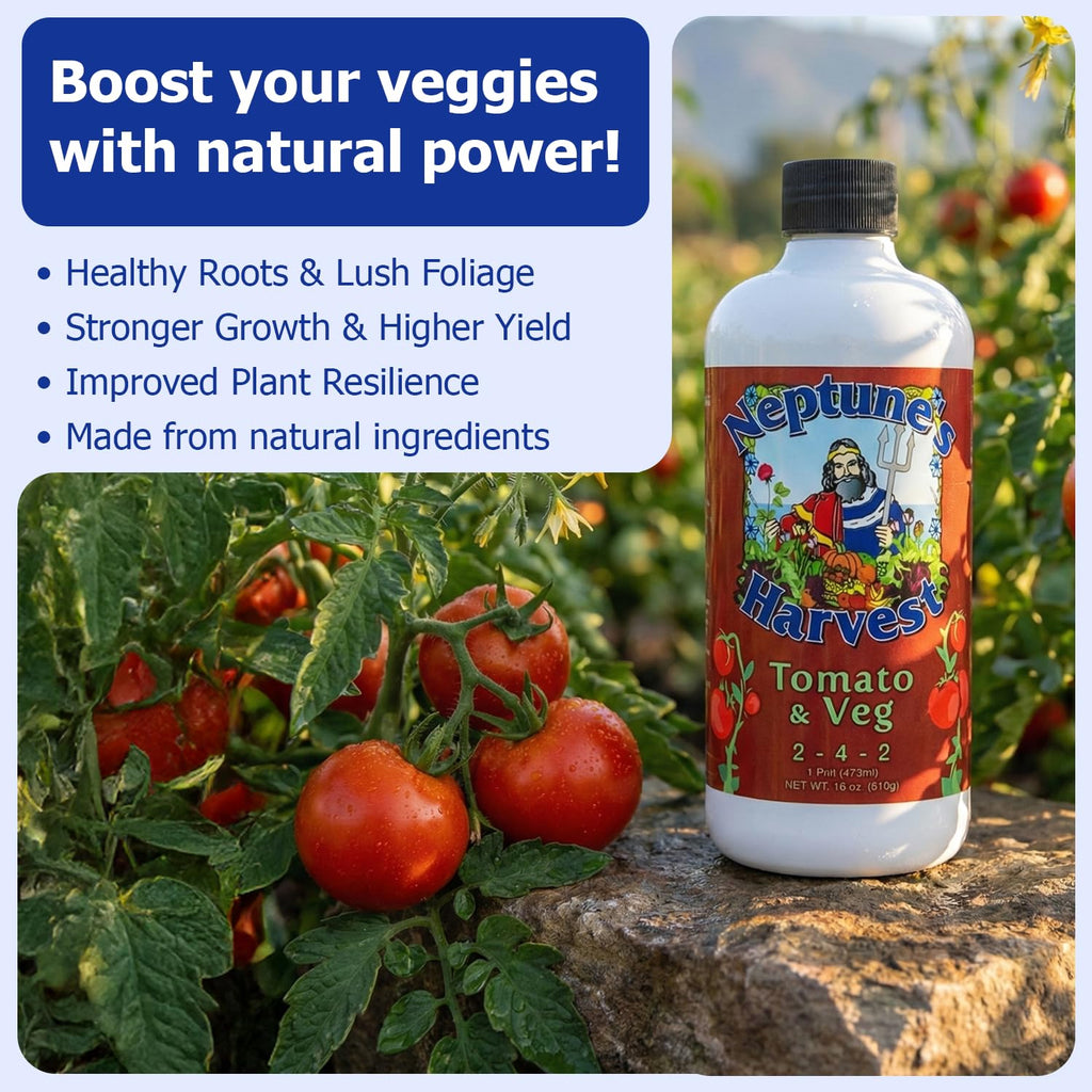 Neptune’S Harvest Organic Tomato & Vegetable Plant Fertilizer (2-4-2) - Liquid Plant Food W/Fresh Fish, Seaweed, Molasses, Yucca Extract, & Humic Acids - For Vegetable Garden (Pint)