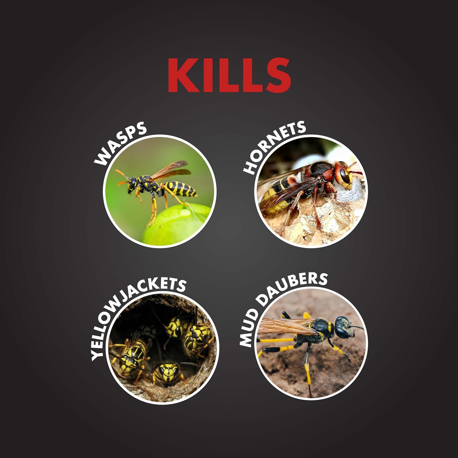 Spectracidepro Wasp & Hornet Killer 18 Ounces, 20-Foot Jet Spray