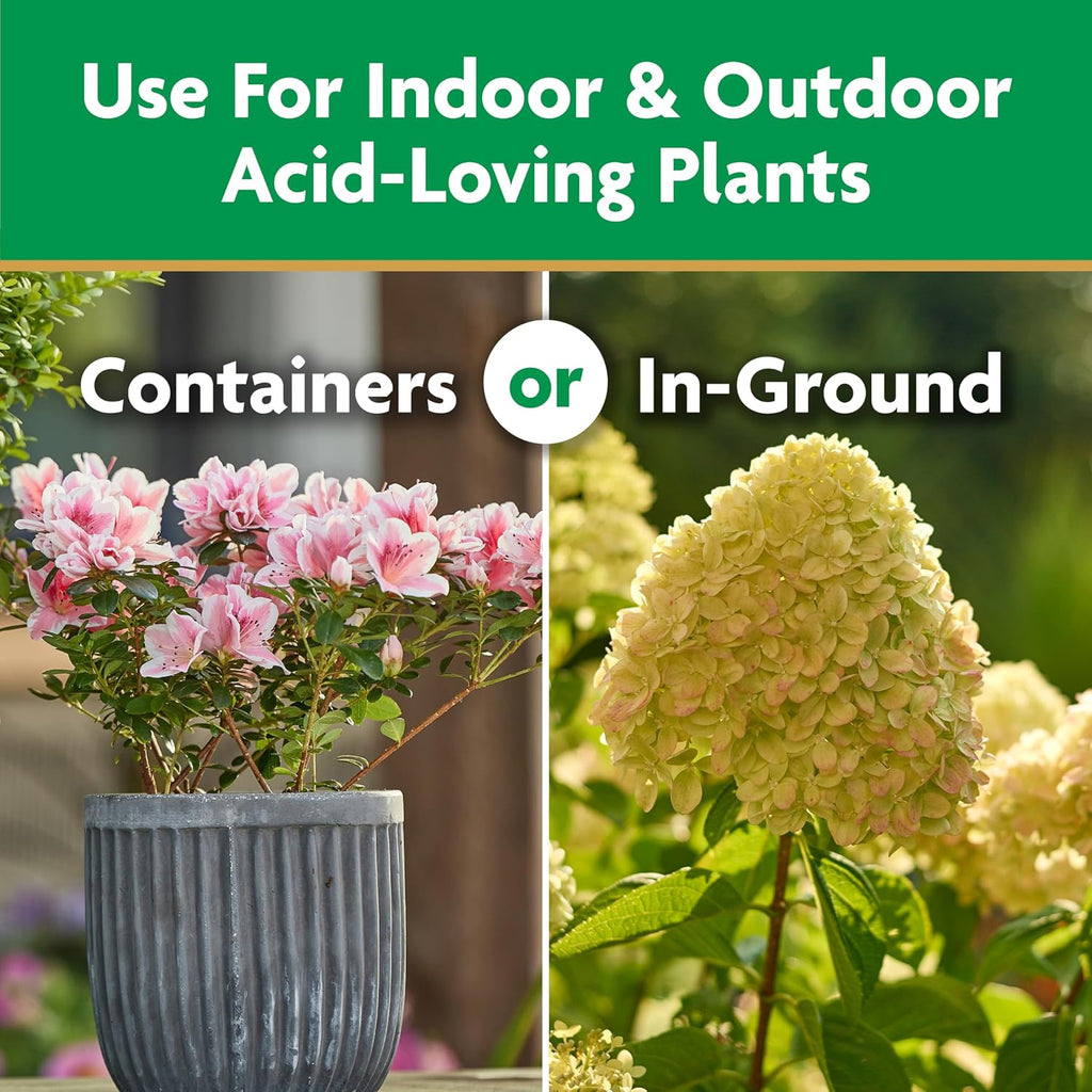 Miracle-Gro Water Soluble Azalea, Camellia, Rhododendron Plant Food, 5 Lb. | Fertilizer For Acid-Loving Plants & Flowers