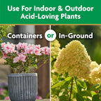 Miracle-Gro Water Soluble Azalea, Camellia, Rhododendron Plant Food, 5 Lb. | Fertilizer For Acid-Loving Plants & Flowers