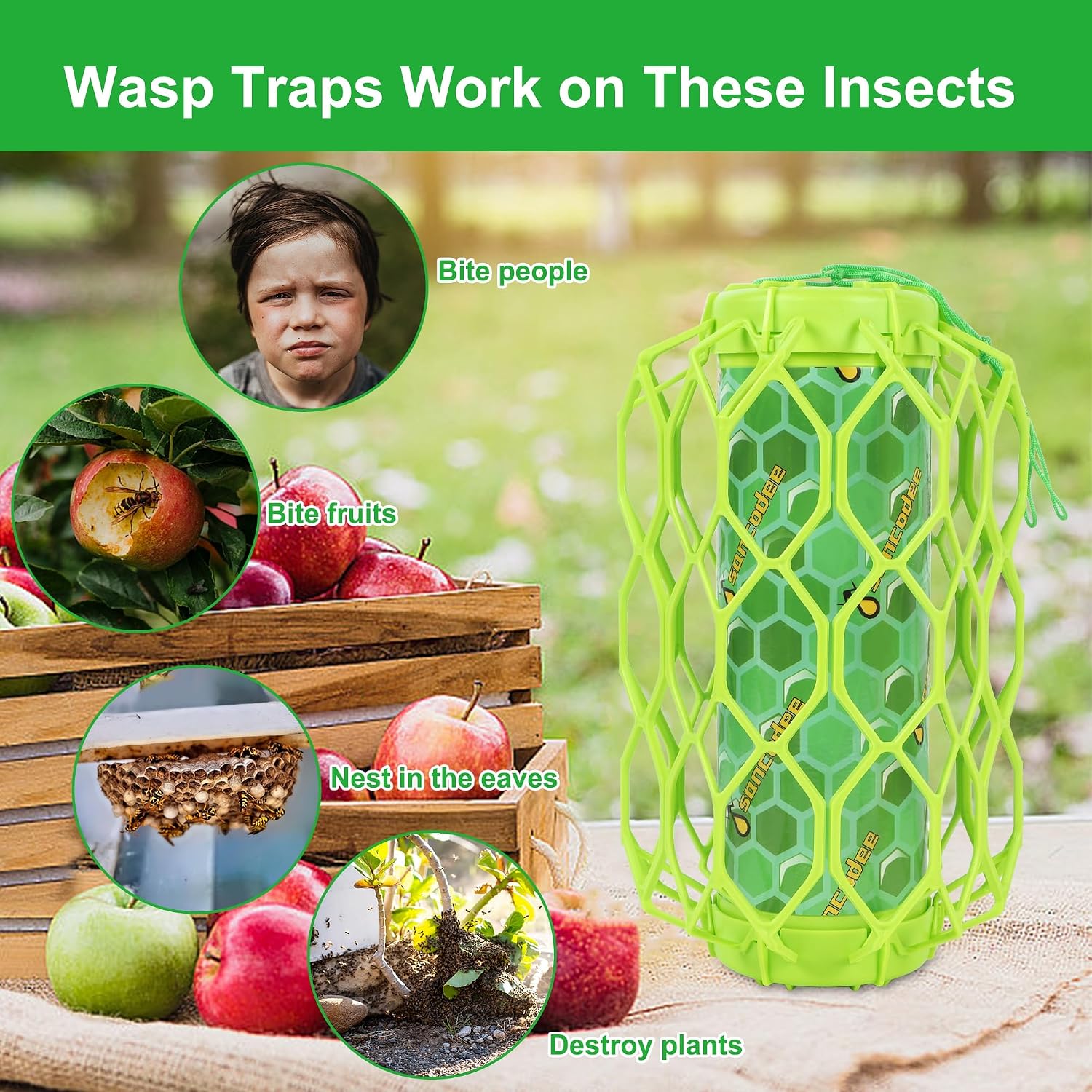 4 Pack Wasp Trap Outdoor Hanging, Carpenter Bee Catchers For Outside(Green) | Reusable Traps With 8 Sticky Refill Sheets, Bee Killer For Hornet Mud Dauber Yellow Jacket, Bug Catcher