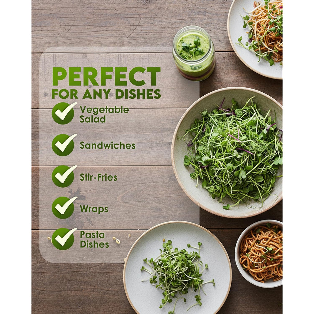 Nature Jim'S Sprout Organic Broccoli Seeds – Non-Gmo, Sprouting Seeds - 8Oz | Rich In Sulforaphane - Fast-Growing Microgreen Plants – Ideal Sprouting Seeds For Fresh & Nutritious Indoor/Outdoor Gardening