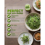 Nature Jim'S Sprout Organic Broccoli Seeds – Non-Gmo, Sprouting Seeds - 8Oz | Rich In Sulforaphane - Fast-Growing Microgreen Plants – Ideal Sprouting Seeds For Fresh & Nutritious Indoor/Outdoor Gardening