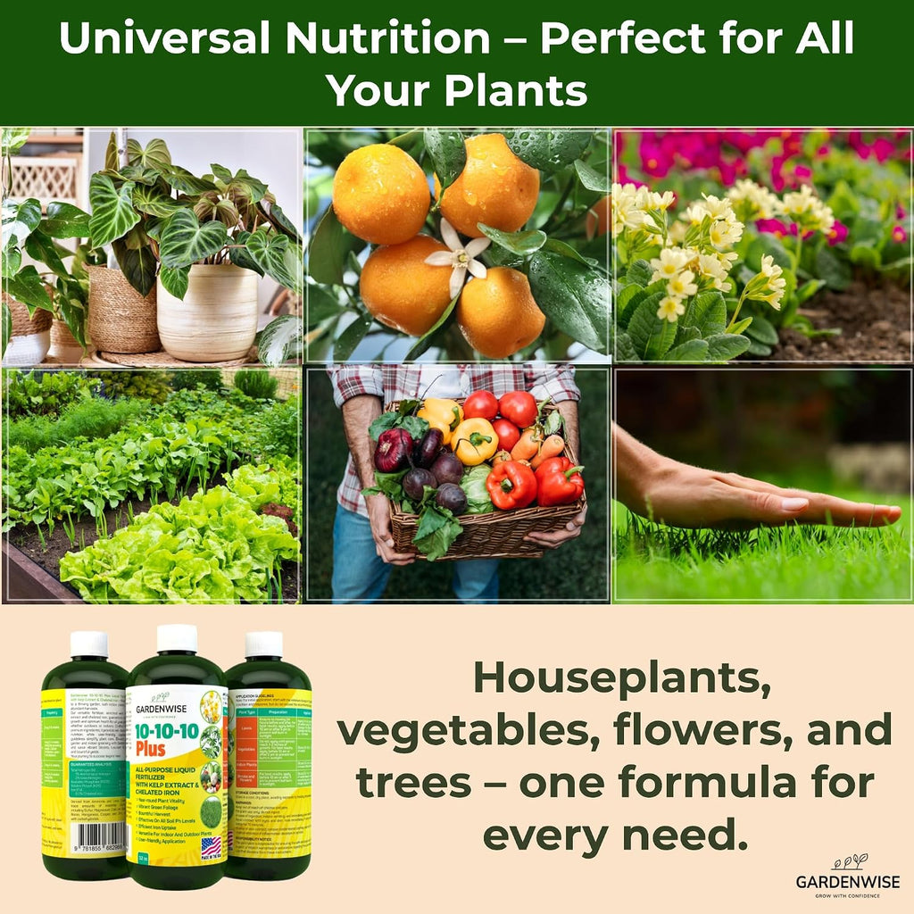 Gardenwise 10-10-10 All Purpose Plant Food - Liquid Fertilizer With Seaweed Kelp & Iron - Indoor & Outdoor Plant Food, Vegetables, Flowers, Lawn & Garden 1X8Oz