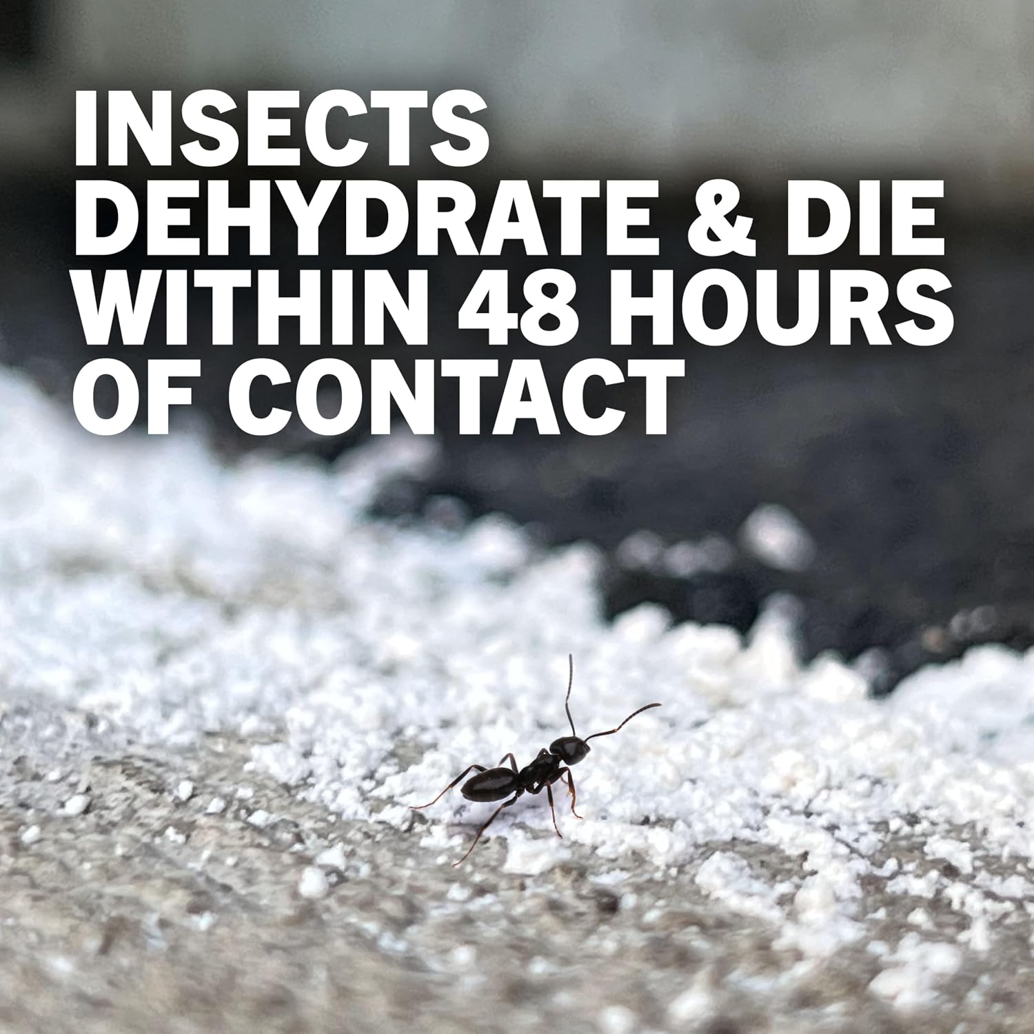 Safer Home Diatomaceous Earth 4 Lb Organic Omri De - Cockroach Killer Indoor Home, Bed Bug Killer, Kills Fleas, Ants, Silverfish, Earwigs & Crawling Insects