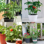 18" Small Plant Support Tomato Cages, 4 Pack Adjustable Garden Trellis For Indoor Outdoor Climbing Plants, Peony Flower Stakes With 66Ft Garden Twist Ties, Green Metal Plant Cages For Pots & Garden