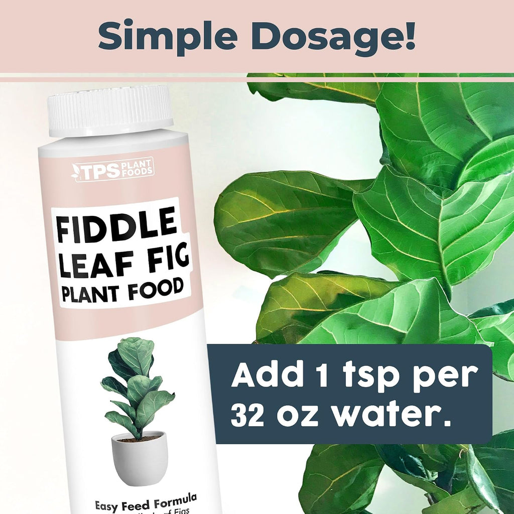 Fiddle Leaf Fig Plant Food – Liquid Fertilizer For Bigger Leaves, Stronger Roots & Healthy New Growth, 8Oz