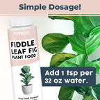 Fiddle Leaf Fig Plant Food – Liquid Fertilizer For Bigger Leaves, Stronger Roots & Healthy New Growth, 8Oz