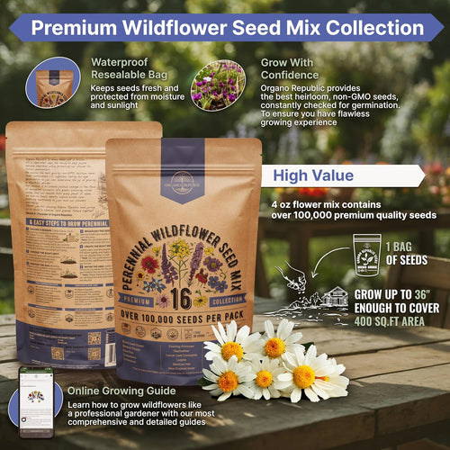 16 Perennial Wildflower Seeds Mix For Indoor & Outdoors. 100,000+ Non-Gmo, Heirloom Wildflower Garden Seeds, 4Oz Packet For Growing Wild Flowers To Attract Bees, Butterflies & Birds