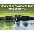 Crystal Plex - Lake And Pond Algaecide Treatment - Liquid Copper Algaecide Kills And Prevents Various Types Of Algae (Planktonic, Filamentous, Chara) - 1 Gallon Treats Up To 1 Acre