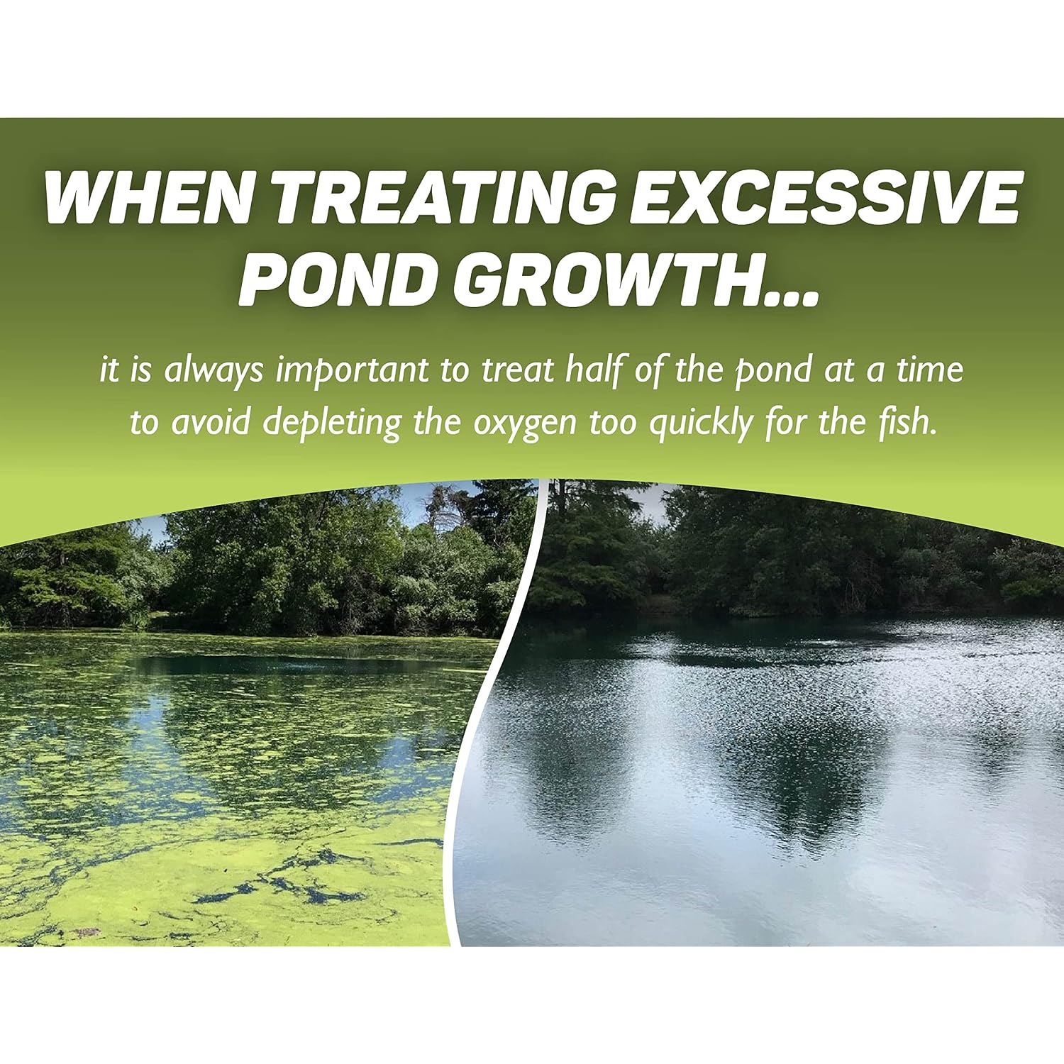 Crystal Plex - Lake And Pond Algaecide Treatment - Liquid Copper Algaecide Kills And Prevents Various Types Of Algae (Planktonic, Filamentous, Chara) - 1 Gallon Treats Up To 1 Acre