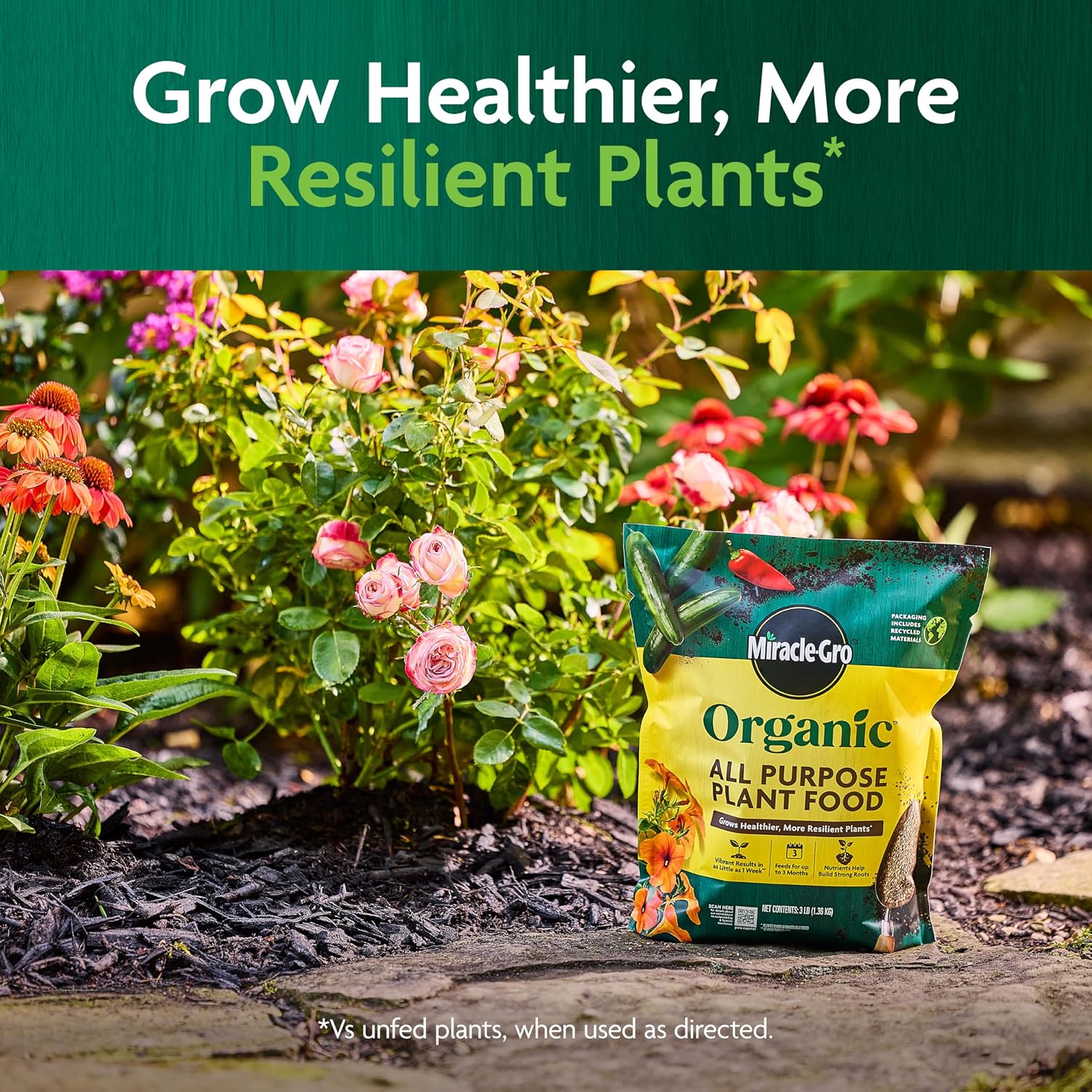 Miracle-Gro Organic All Purpose Plant Food, 3 Lb. | Garden Fertilizer For Outdoor Vegetables, Flowers, Container And In-Ground Plants, Feeds Up To 3 Months, Omri Listed