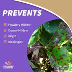 Bonide Captain Jack'S Copper Fungicide, 32 Oz Ready-To-Use Spray For Organic Gardening, Controls Common Diseases | For Organic Gardening, Controls Common Diseases On Plants