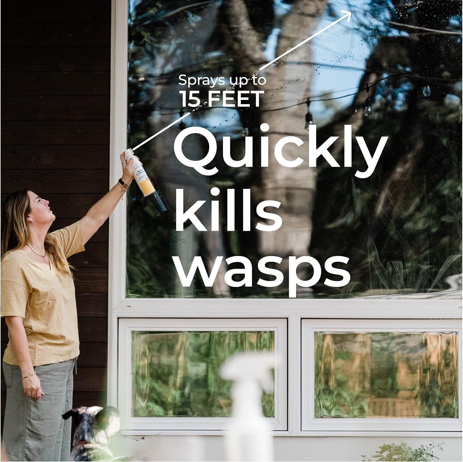 Wondercide - Wasp And Hornet Killer Aerosol Spray With Natural Essential Oils - Kill Wasps, Hornets,And Yellow Jackets - For Porch, Patio, And Outdoor Areas - Pet And Family Safe - 10 Oz - 2 Pack