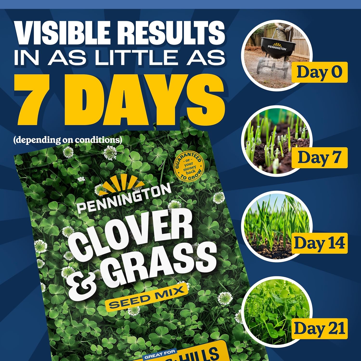 Pennington Clover + Grass Mix, Clover Seeds For Lawn, 7 Lb
