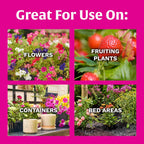Scotts Super Bloom Water Soluble Plant Food, 2 Lbs. | Npk 12-55-6 - Fertilizer For Outdoor Flowers, Fruiting Plants, Containers And Bed Areas - Feeds Plants Instantly