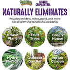 Trifecta Crop Control Ready To Use Maximum Strength Natural Pesticide, Fungicide, Miticide, Insecticide, Help Defeat Spider Mites, Powdery Mildew, Botrytis And Mold On Plants 32 Oz Size