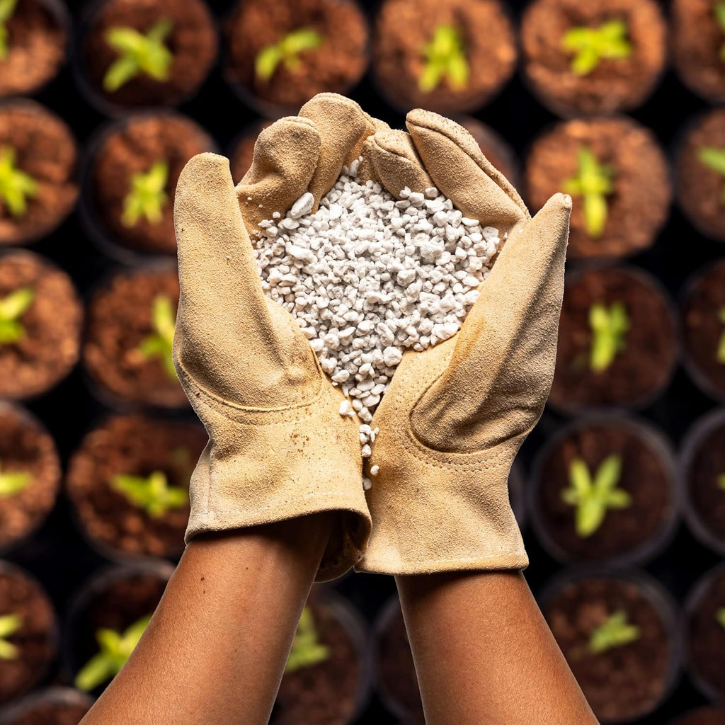 Perlite Bliss (8 Qts) - Organic Perlite For Plants Indoor Soil Amendment - Horticultural Perlite For Gardening & Seed Starting - Mixes Easily With Potting Soil, Vermiculite, & Coco Coir For Plants