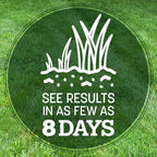 Pennington Kentucky 31 Fescue 3 Lb Tall Fescue Grass Seed, Grass Seeds For Lawn
