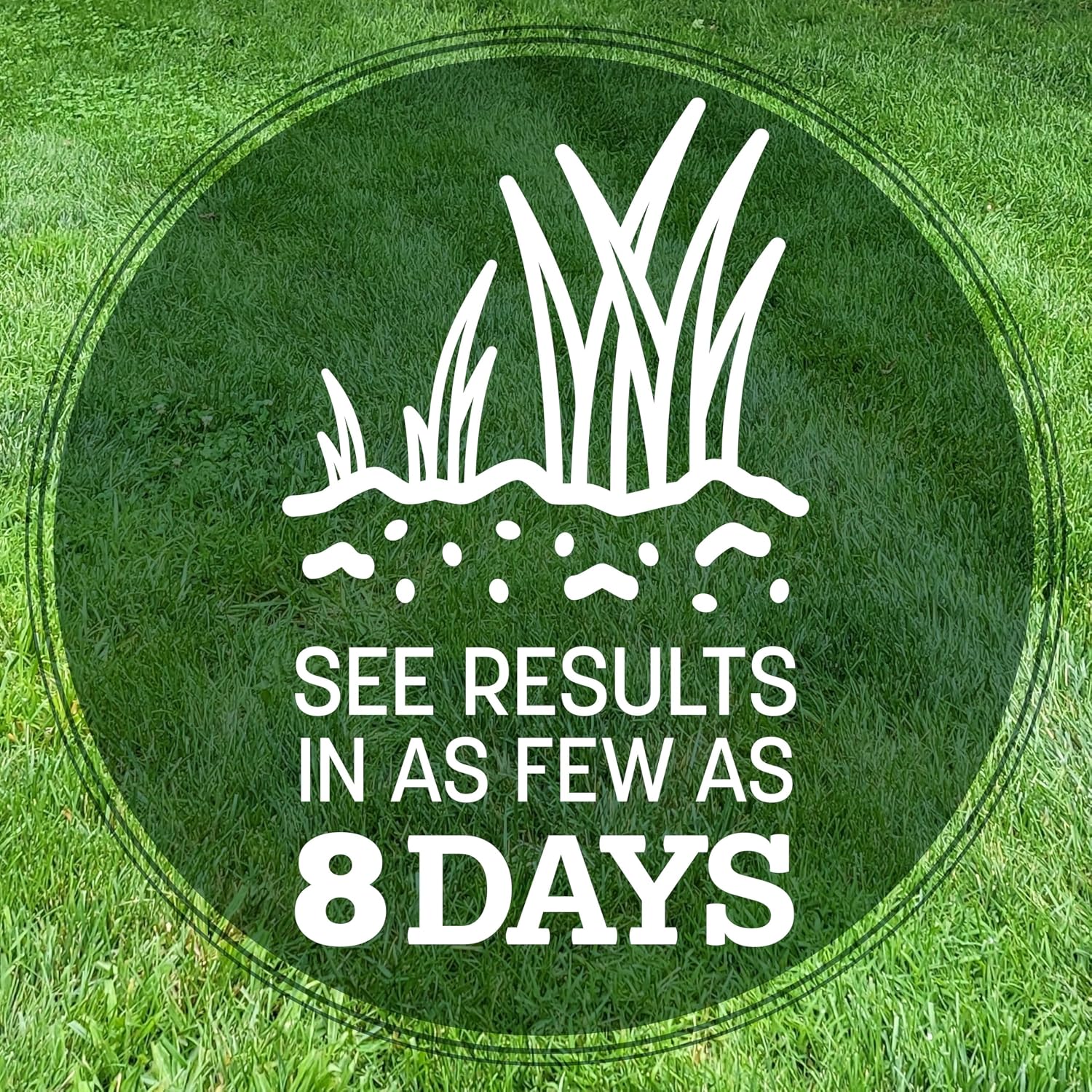 Pennington Kentucky 31 Fescue 3 Lb Tall Fescue Grass Seed, Grass Seeds For Lawn