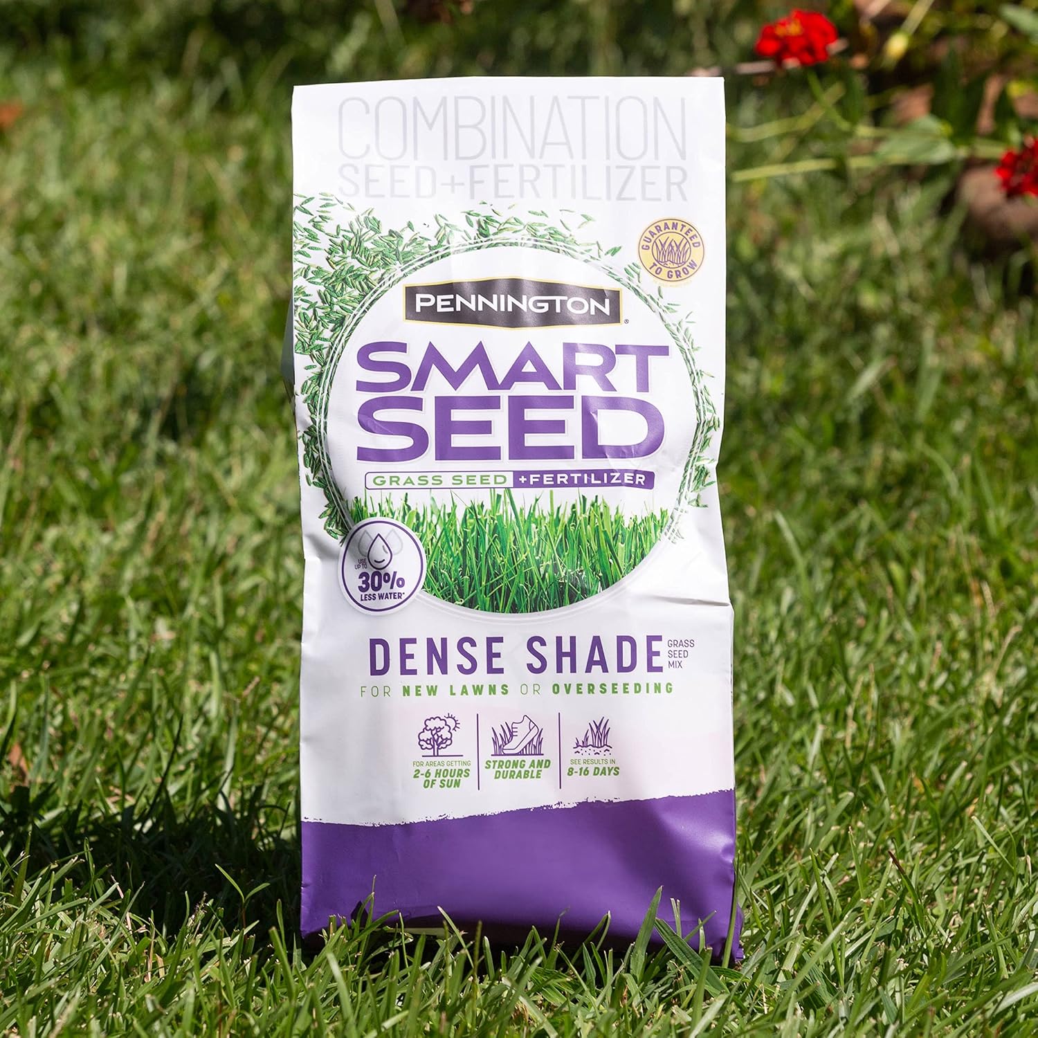 Pennington Smart Seed Dense Shade Mix, Grass Seeds For Lawn, 4/7 Lb