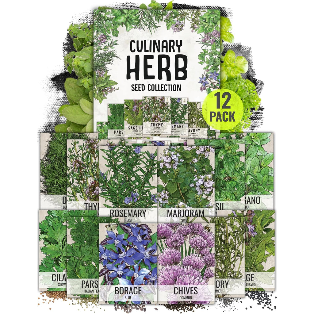 Seed Needs Herb Seeds Variety Pack Culinary Herb Collection (12 Individual Packets For Planting Indoors Or Outdoors) Grow Your Own Herb Garden - Heirloom, Non-Gmo
