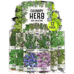 Seed Needs Herb Seeds Variety Pack Culinary Herb Collection (12 Individual Packets For Planting Indoors Or Outdoors) Grow Your Own Herb Garden - Heirloom, Non-Gmo