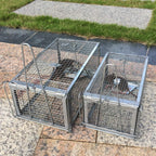 Kensizer Humane Rat Trap, Small Mouse Traps 10.5" L X 5.5" W X 4.5" H | Chipmunk Rodent Trap, Indoor And Outdoor, Mouse Voles Hamsters, Live Cage Catch And Release, 1-Pack