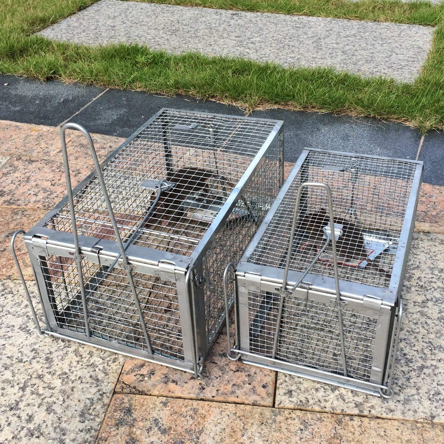Kensizer Humane Rat Trap, Small Mouse Traps 10.5" L X 5.5" W X 4.5" H | Chipmunk Rodent Trap, Indoor And Outdoor, Mouse Voles Hamsters, Live Cage Catch And Release, 1-Pack