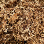 Better-Gro Premium Grade Orchid Moss - 100% Natural, Imported Sphagnum Moss For Orchids, Ferns, And Hostas, Excellent For Hanging Baskets And Propagating Plants - 190 Cubic Inches
